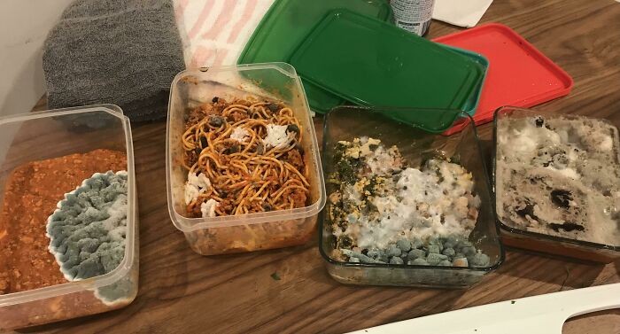 Makanan anak kost berjamur Makanan anak kost berjamur