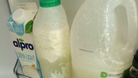 Tinggal bersama teman kos, netizen bagikan aksi jorok yang dilakukan teman sekamarnya. Ia tak pernah membuang susu yang sudah basi melainkan menumpuk terus setiap botol susu sampai semuanya menjadi basi dan bau. Foto: Bored Panda