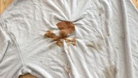 Tak punya pakaian yang dirasa cocok, anak kos ini meminjam baju temannya untuk ke pesta BBQ. Usai pulang dari pestanya, ia justru meninggalkan baju pinjaman begitu saja dengan noda saus yang berantakan. Foto: Bored Panda