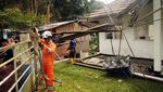 PLN Gercep Perbaiki Jaringan Listrik di Cianjur