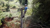 Petugas PLN memperbaiki jaringan listrik di Cugenang, Kabupaten Cianjur, Jawa Barat, Selasa (22/11/2022).
