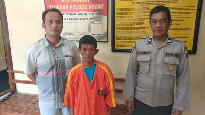 pencari burung pencuri sapi
