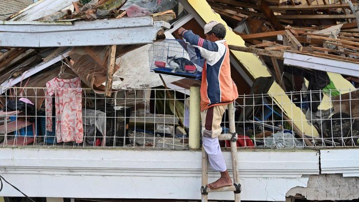 Potret Warga Selamatkan Peliharaan dari Rumah Terdampak Gempa Cianjur A man saves a cat from his damaged house following a 5.6-magnitude earthquake that killed at least 162 people, with hundreds injured and others missing in Cianjur on November 22, 2022. (Photo by ADEK BERRY / AFP) (Photo by ADEK BERRY/AFP via Getty Images)