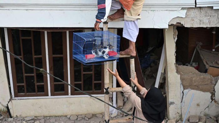 People save a cat from a damaged house following a 5.6-magnitude earthquake that killed at least 162 people, with hundreds injured and others missing in Cianjur on November 22, 2022. (Photo by ADEK BERRY / AFP) (Photo by ADEK BERRY/AFP via Getty Images)