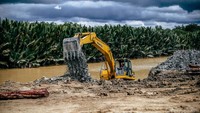 Sejak perusahaan mulai mengembangkan gurita bisnisnya di tahun 70an, hutan sebagai sumber kehidupan masyarakat Suku Balik sudah banyak yang habis.   