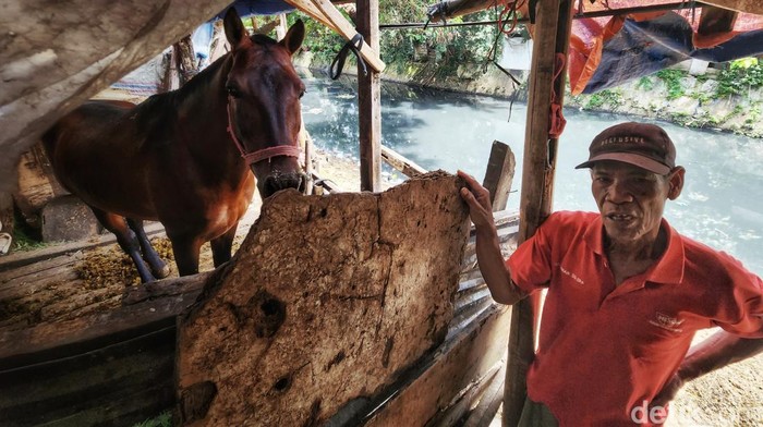 Kisah Kuda Pekerja Bertahan di Ibu Kota Kuda menjadi salah satu hewan yang banyak membantu segala kegiatan manusia. Selain itu, Kuda banyak digunakan sebagai alat transportasi untuk mengangkut orang dan barang dari dulusampai sekarang.