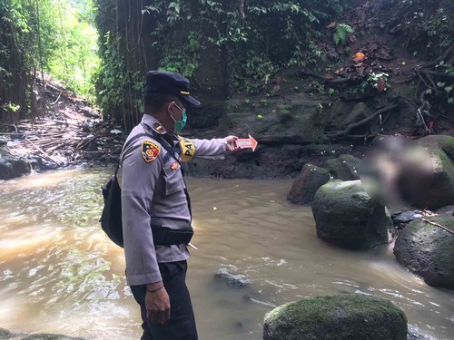 Penemuan mayat pria tanpa identitas di Sungai Tunduh dekat Obyek Wisata Monkey Forest Ubud. (Dok. Polsek Ubud)