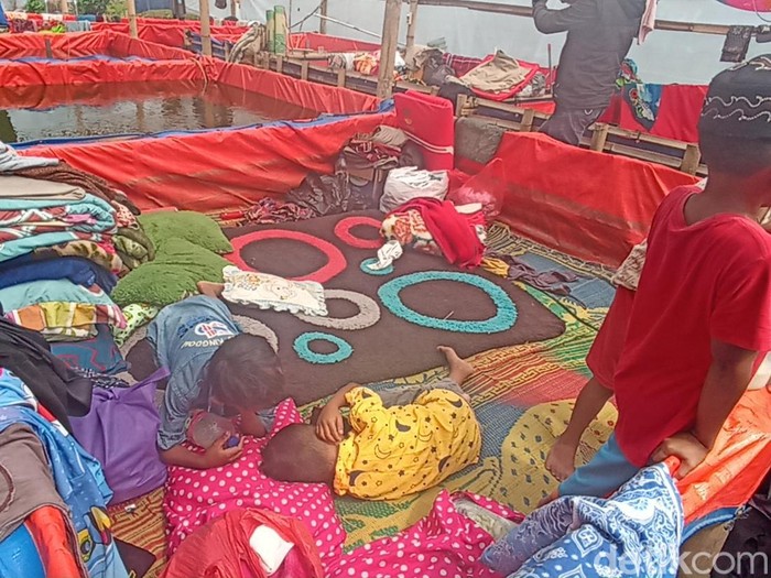 Pengungsi tinggal di kolam lele karena kurang tenda