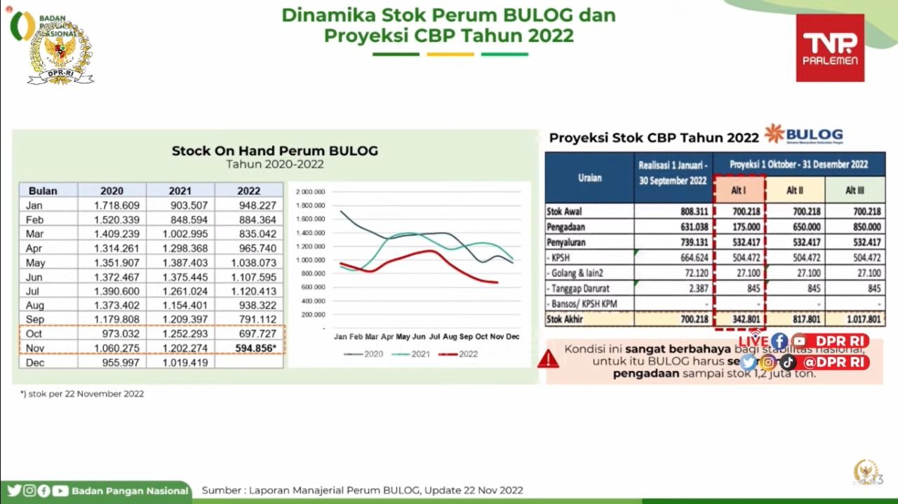 Stok beras bulog (Tangkapan Layar Youtube Komisi IV DPR RI Channel)