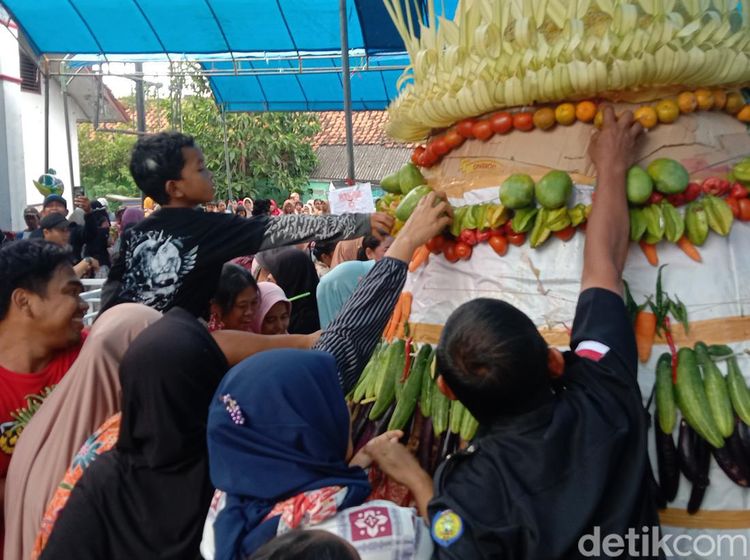 Potret Warga Rebutan Gunungan Hasil Bumi di Indramayu