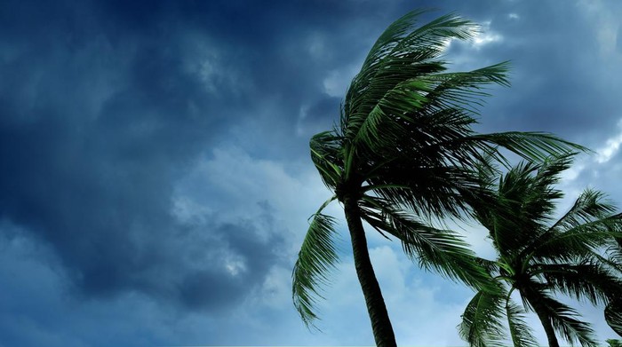 BMKG Makassar: Waspada Angin Kencang Capai 30-40 Km Per Jam Selama Oktober