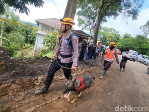 Anjing Pelacak Endus Jejak Korban Tertimpa Longsor Usai Gempa Cianjur