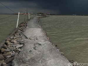Warga Demak Tolak Pembebasan Tanah Musnah, Ganjar Janji Ajak Dialog