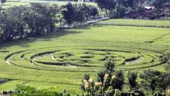 Crop circle: desain rumit yang diukir di ladang petani ini diklaim sebagai hasil ulah manusia iseng dengan beberapa alat sederhana. Namun, masih ada teori yang menunjukkan adanya sesuatu yang lebih misterius, mungkin terkait fenomena cuaca, aktivitas supernatural, atau bahkan alien yang menjadi penyebab pola-pola aneh ini. Foto: Crop Circle di Berbah, Sleman