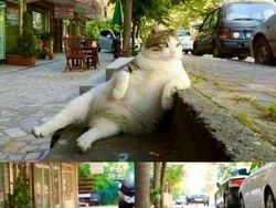 Deretan Foto Jadul yang Bikin Terperangah Saat Tahu Faktanya