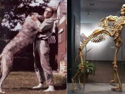 Kisah Mencengangkan di Balik Foto Bersejarah