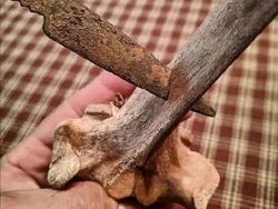 Kisah Mencengangkan di Balik Foto Bersejarah