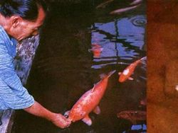 Kisah Mencengangkan di Balik Foto Bersejarah