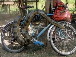 8 Foto Kocak Barang Anti Maling Ini Bikin Ngakak Sambil Geleng-geleng Kepala