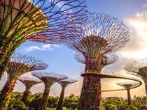 Singapura Cinta Warga +62, Fokus 2025 Wisata Muslim