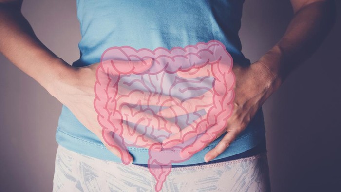 woman hands on her stomach with intesline, probiotics food for gut health, colon cancer, bowel inflammatory concept