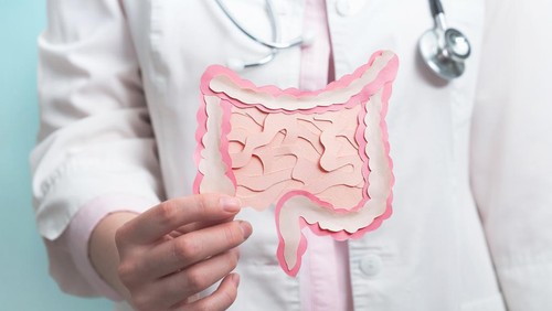 Doctor holding decorative model intestine. Close up