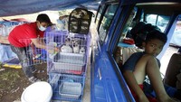 Selain bersama keluarga, warga tersebut juga membawa hewan peliharaannya ke tempat pengungsian.