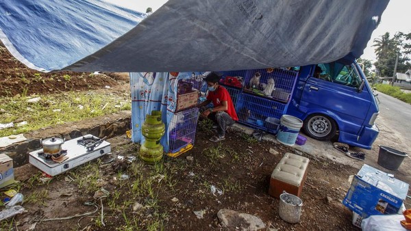 Minim Tenda Darurat, Korban Gempa Cianjur Ngungsi di Angkot