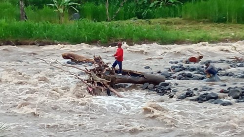 Korban saat terjebak di tengah-tengah derasnya aliran Sungai Unda, Karangasem, Bali, Kamis (24/11/2022).