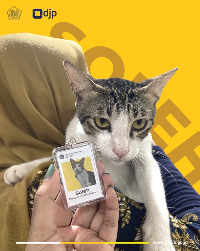 Kucing bernama Soleh jadi pegawai Ditjen Pajak (dok. Twitter @DitjenPajakRI)