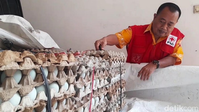 PMI Brebes kirim 3 ribu butir telur asin matang untuk korban gempa Cianjur, Kamis (24/11/2022).