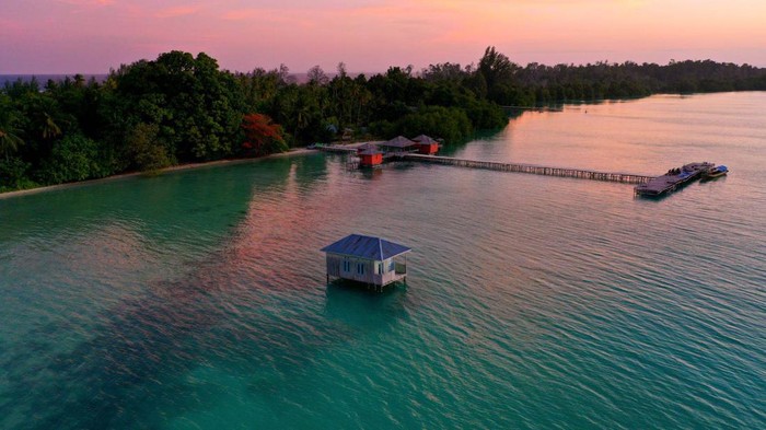 Pulau Widi terletak di Halmahera Selatan, Maluku Utara, Indonesia. Pulau ini dikenal dengan keindahan bawah laut yang cocok yang menjadi surga bagi wisatawan.