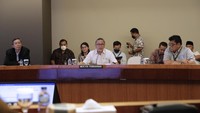 Pertemuan antara Zulhas dan GPPU dilatarbelakangi harga ayam ras di tingkat peternak yang sangat fluktuatif dan sering berada di bawah harga pokok produksi (HPP). Harga ayam di pasar Rp 32.000 per kilogram (kg), seharusnya Rp 35.000 per kg.