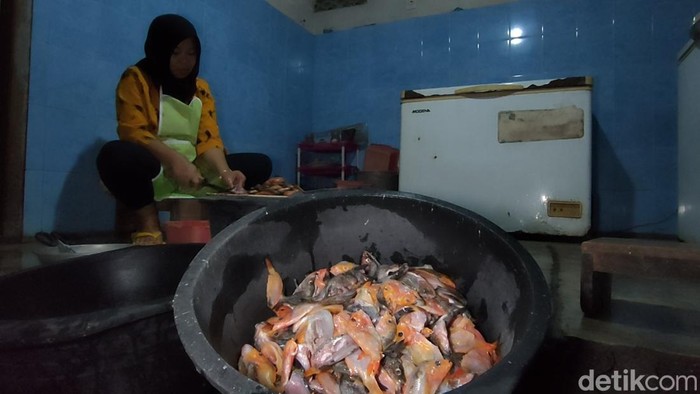 Usaha Keripik Red Devil di Dusun Soka, Kalurahan Hargowilis, Kapanewon Kokap, Kulon Progo, DIY, Kamis (24/11/2022).