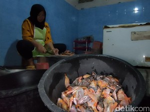 Dianggap Hama, Ikan Red Devil di Waduk Sermo Justru Jadi Sumber Cuan Warga