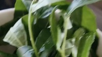 Di unggahan ini, Yusuf Mansur berbagi informasi kesehatan. Ia bilang  konsumsi daun kedondong dan pucuk daun cabe bermanfaat untuk kesehatan.