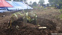 TPU Kampung Panumbangan ini berada di RT 4 RW 2. Menurut tokoh masyarakat sekitar, Mumu (50), TPU ini sudah ada sejak tiga tahunan lalu. Baru ada seratusan makam di TPU ini.