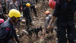 Anjing Pelacak Dikerahkan untuk Cari Korban Gempa Cianjur