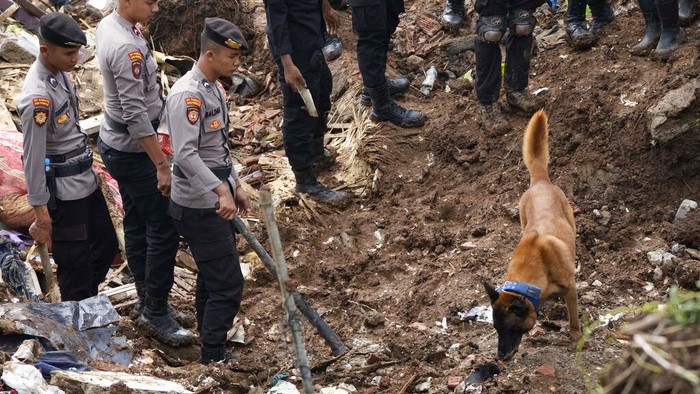 Pencarian korban gempa Cianjur terus dilakukan. Selain SAR gabungan, pencarian itu juga mengerahkan anjing pelacak.