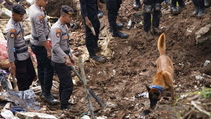 Anjing Pelacak Dikerahkan untuk Cari Korban Gempa Cianjur Pencarian korban gempa Cianjur terus dilakukan. Selain SAR gabungan, pencarian itu juga mengerahkan anjing pelacak.