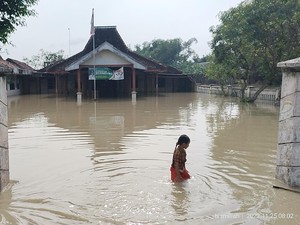 Banjir Rendam 230 Rumah-Sawah Desa di Bojonegoro, Ketinggian Air 50 Cm