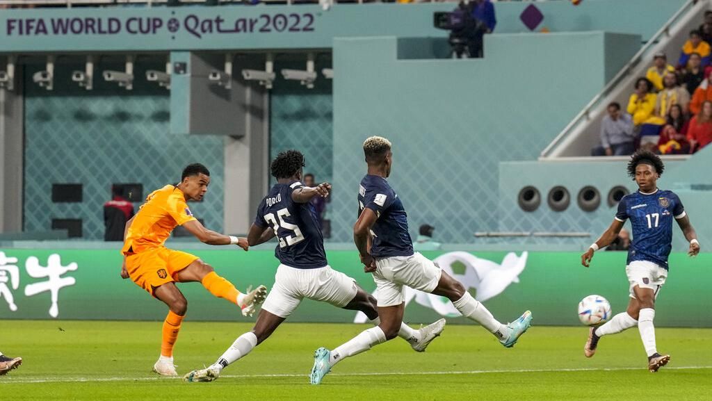 Belanda Vs Ekuador: Gakpo Bawa Oranje Unggul 1-0 di Babak I