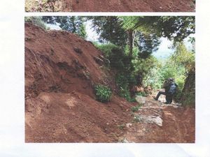Begini Kondisi Jalur Pendakian Gunung Gede Pangrango, Ada Longsoran