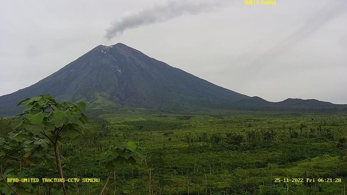 gunung semeru erupsi pukul 07.02 WIB, Jumat (25/11/2022).