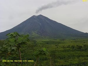 Gunung Semeru Alami 22 Kali Letusan Dalam 6 Jam, Status Level 3 Siaga