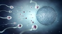 Seperti Apa Bentuk dan Bau Sperma yang Sehat? Ini 5 Tandanya