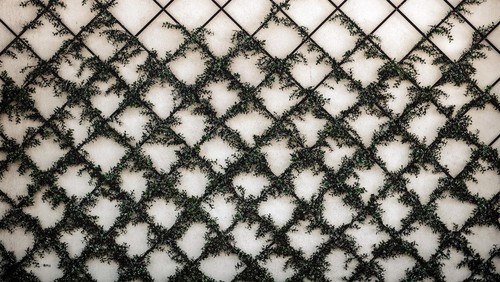 Contoh teralis minimalis.