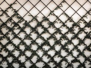 Mengenal Wiremesh, Jenis dan Ide Penggunaannya untuk Eksterior Rumah