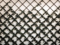Mengenal Wiremesh, Jenis dan Ide Penggunaannya untuk Eksterior Rumah