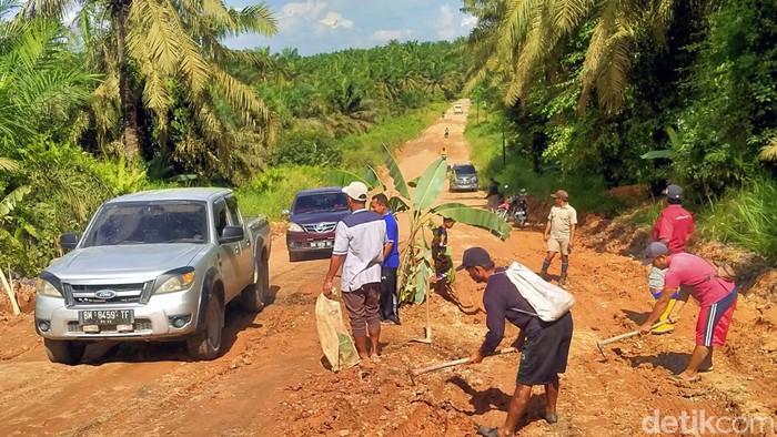 Jalan Rusak Berat, Warga Protes dengan Menanami Pohon Pisang Warga Pelalawan, Riau, nekat menanam batang pisang di tengah jalan. Hal itu dilakukan karena jalan rusak tidak kunjung diperbaiki.